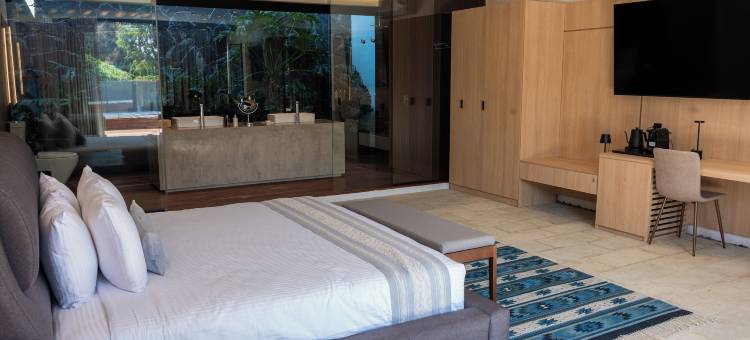 卡门索洛特尔之家(Casa Carmen Xólotl)图片