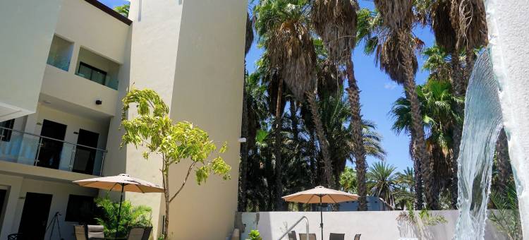 洛雷托帕尔马酒店(Hotel Loreto Palmar)图片