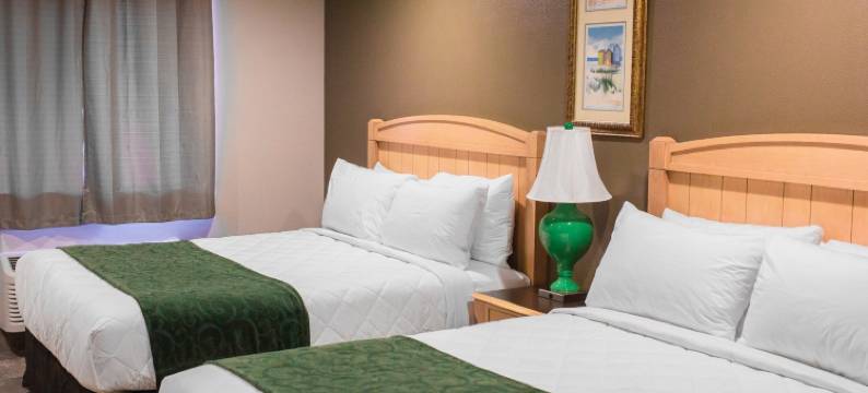 盖托尔巢穴汽车旅馆(The Gator Den)图片