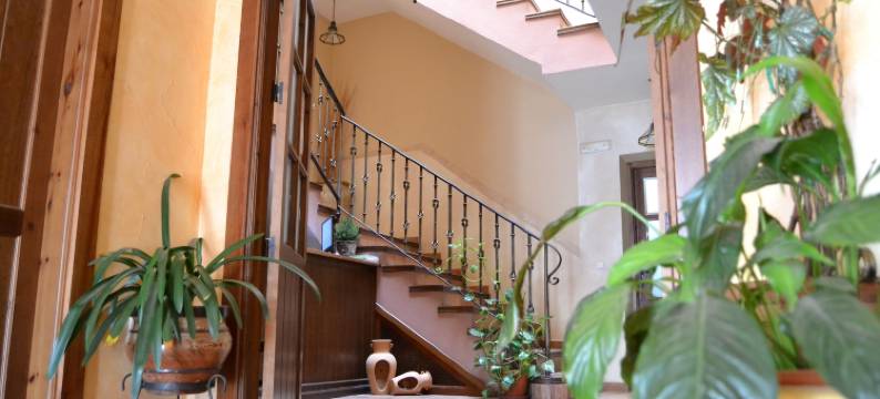 托里比欧青年旅舍(Hostal Toribio)图片