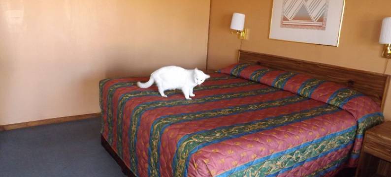 三星随心汽车旅馆(Tristar Inn Xpress)图片