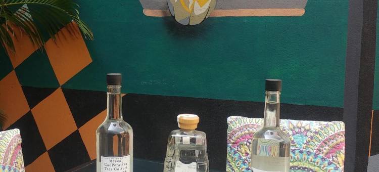 草地兔子青年旅舍(Hierba de Conejo Hostel)图片