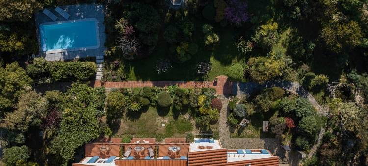 马斯德尔弗洛尔(Mas del Flor)图片