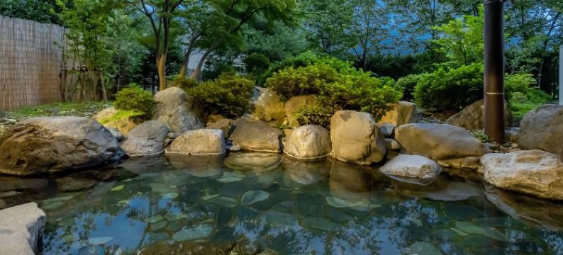 黑部景观酒店(Kurobe View Hotel)图片