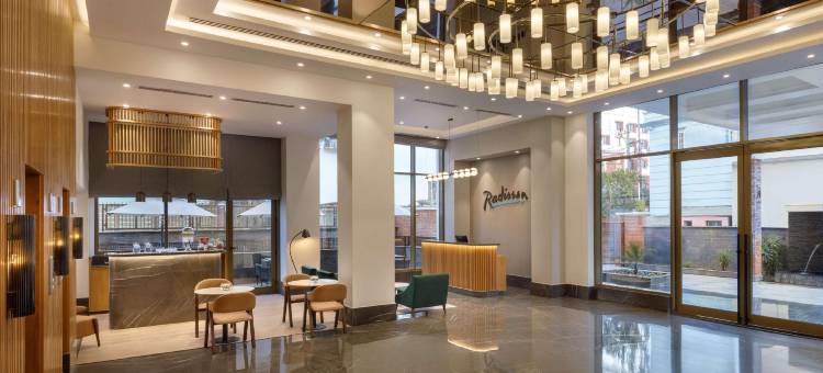 加德满都丽筠酒店(Radisson Hotel Kathmandu)图片