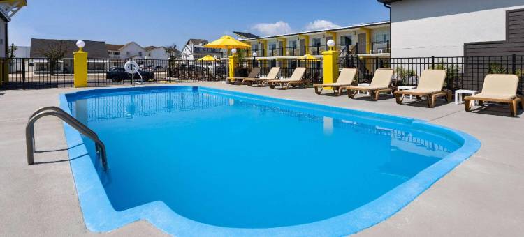 The Vibes Hotel, Trademark Collection by Wyndham图片