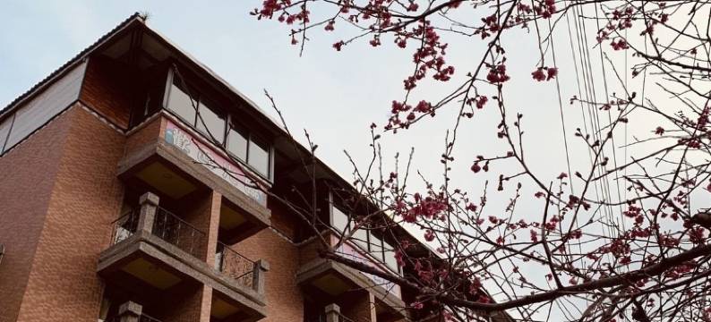 小乌来山庄(特色民宿)图片