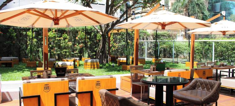 圣保罗奥林匹亚区美爵酒店(Grand Mercure Sao Paulo Vila Olimpia)图片