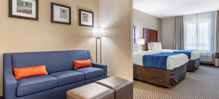 纳瓦索塔舒适套房酒店(Comfort Inn & Suites Navasota)图片