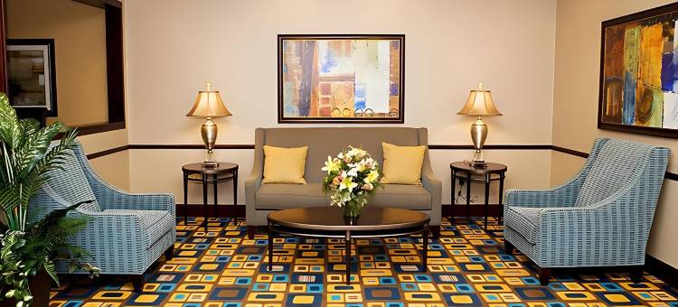 智选假日酒店及套房 扬斯敦西 - 奥斯丁镇 IHG(Holiday Inn Express & Suites Youngstown West - Austintown)图片