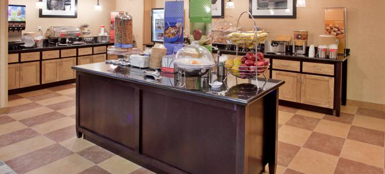 迪金森欢朋套房酒店(Hampton Inn & Suites Dickinson)图片