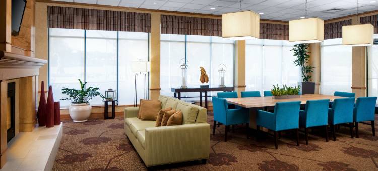 希尔顿花园酒店-亚特兰大机场千年中心(Hilton Garden Inn Atlanta Airport/Millennium Center)图片