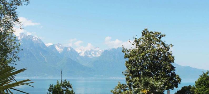 蒙特鲁皇家广场(Royal Plaza Montreux)图片