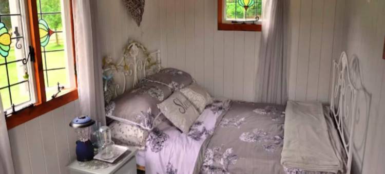 Shepherd's Hut in Romsey with Fire Pit图片