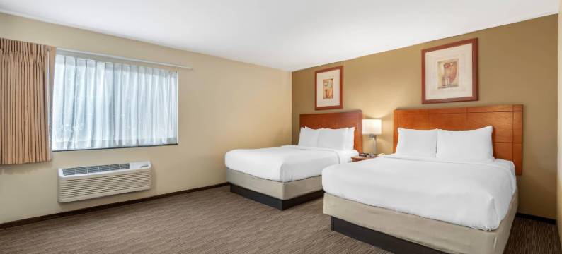 美冠鹦鹉舒适酒店(Comfort Inn Cockatoo Near LAX Airport)图片