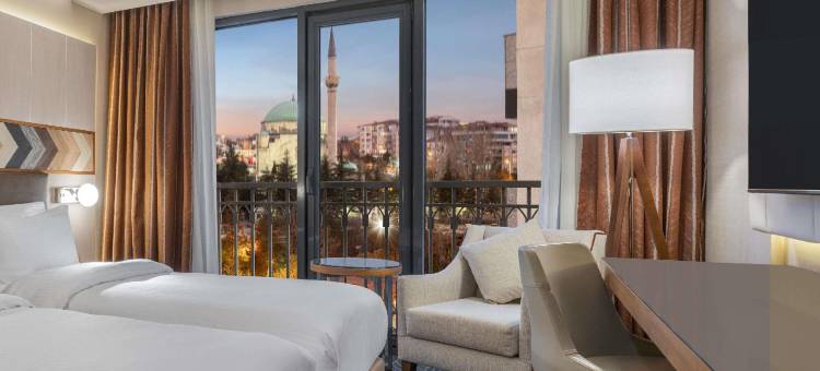 安卡拉基济莱美居酒店(Mercure Ankara Kizilay)图片