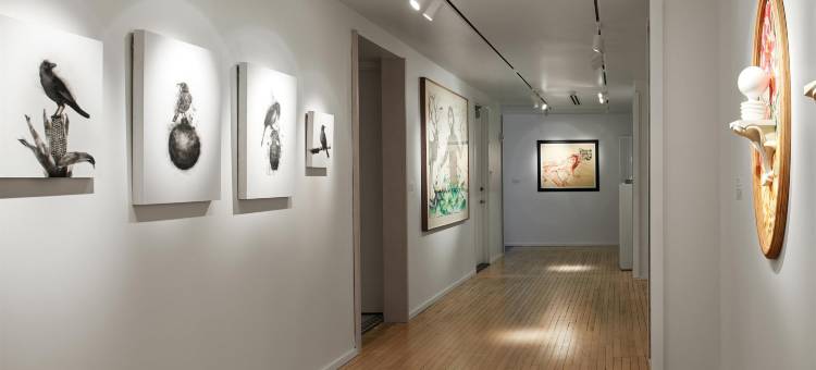 芝加哥市中心55号酒店(Hotel 55 Chicago Downtown)图片