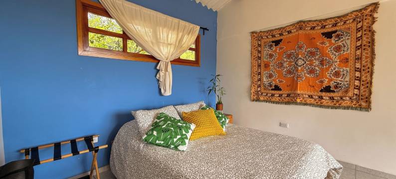 埃尔尼多安第诺(El Nido Andino)图片