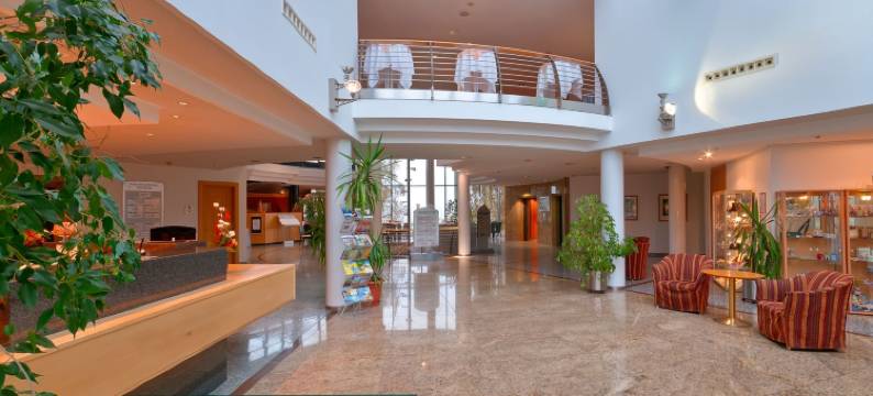 梅拉内酒店(Hotel Meerane)图片