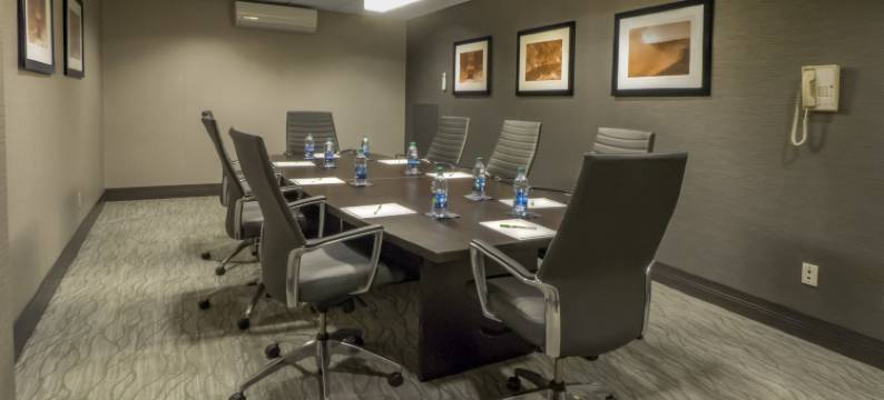 Holiday Inn 尼亚加拉瀑布(Holiday Inn NIAGARA FALLS STATE PARK ENTRY by IHG)图片