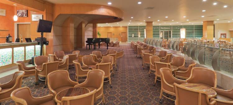 托雷翁皇冠假日酒店(Crowne Plaza Torreon)图片