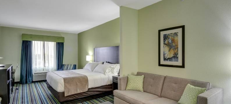 卡里索斯普林斯洲际智选假日套房酒店(Holiday Inn Express & Suites Carrizo Springs by IHG)图片