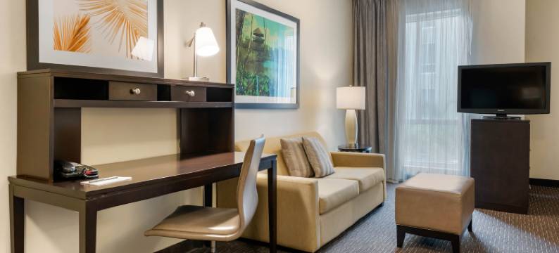 Staybridge Suites 佛罗里达州圣彼得堡(Staybridge Suites ST. PETERSBURG DOWNTOWN by IHG)图片