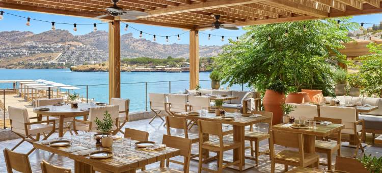 博德鲁姆艾迪逊酒店(The Bodrum EDITION)图片