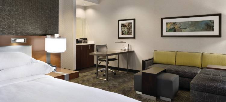 匹兹堡中心希尔顿安泊酒店(Embassy Suites by Hilton Pittsburgh Downtown)图片