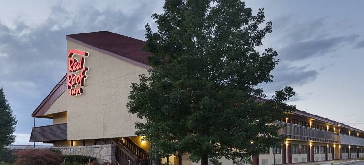 兰辛西红顶酒店-MSU(Red Roof Inn Lansing West - MSU)图片