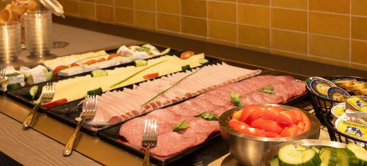阿德吉奥阿克瑟斯布鲁塞尔机场公寓酒店(Aparthotel Adagio Access Brussels Airport)图片