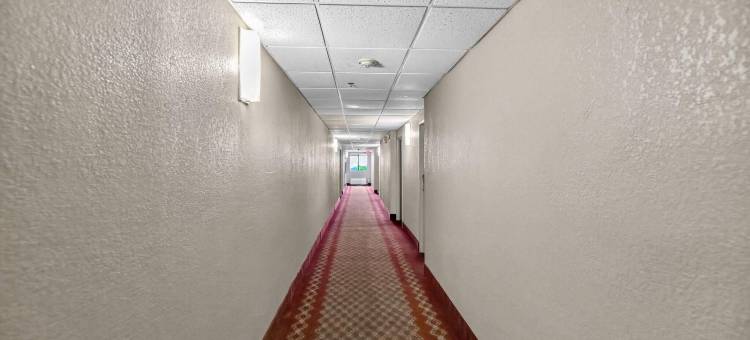 普林斯顿伊克诺旅馆(Econo Lodge)图片