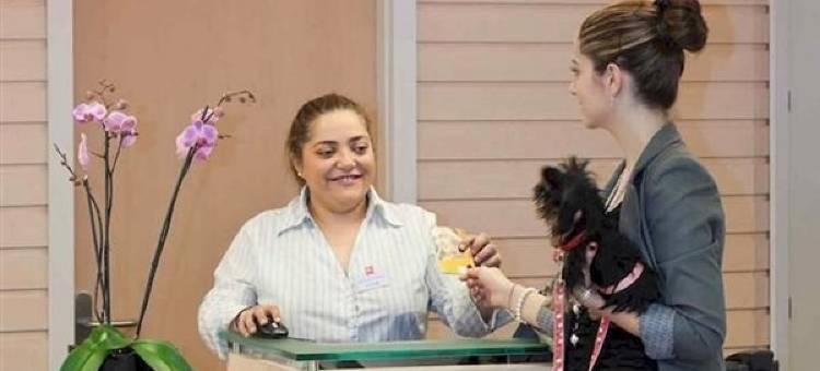 宜必思奥维耶多酒店(Ibis Oviedo)图片