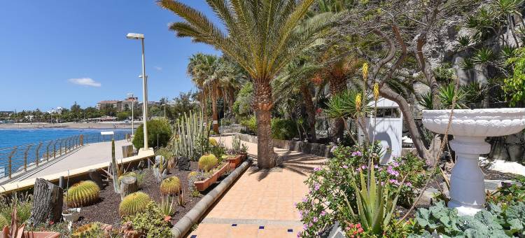 Studio in Gran Canaria near Golden Beaches图片