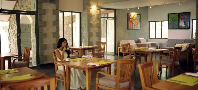 香料树Rajakumari(SpiceTree Rajakumari)图片