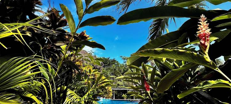 梅拉克特马斯克庄园酒店(Hotel Hacienda de Melaque)图片