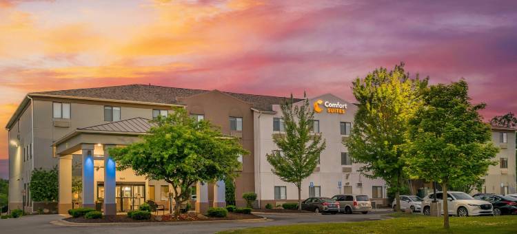 奥本希尔斯舒适套房酒店(Comfort Suites Auburn Hills-Detroit)图片