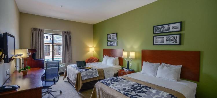 皮尔兰舒眠套房酒店-南休斯顿(Sleep Inn & Suites Pearland - Houston South)图片