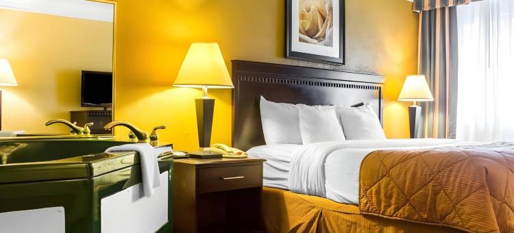 费尔格朗兹凯艺套房酒店(Quality Inn and Suites Fairgrounds - Syracuse)图片