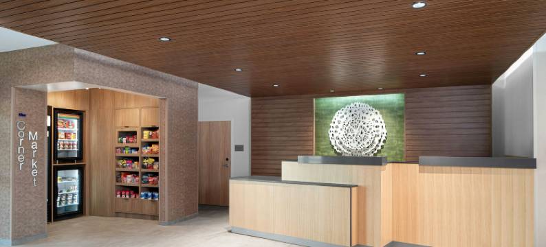 Fairfield by Marriott Inn & Suites Piedmont Greenville图片