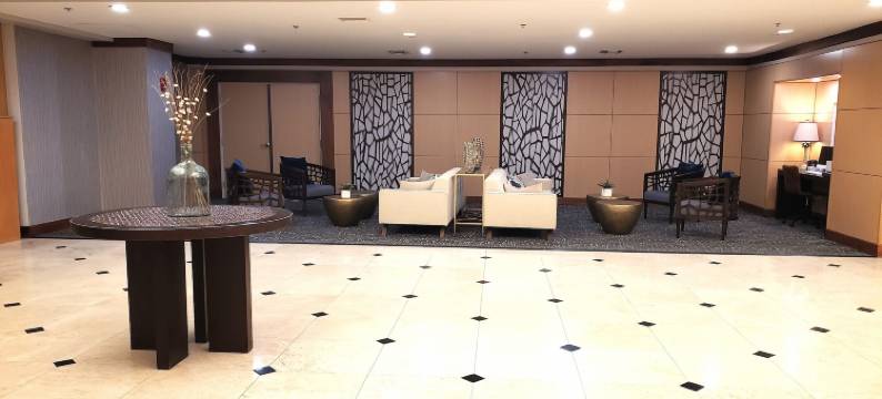 丽笙海岸套房酒店(Radisson Suite Hotel Oceanfront)图片