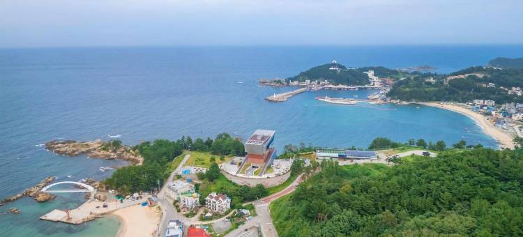 三彩叶大梦旅馆(Samcheok Yedaum Pension)图片