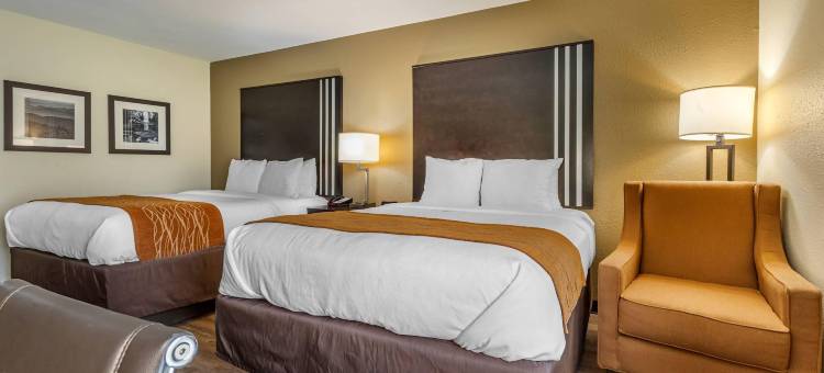 舒适酒店(Comfort Inn Near Downtown & Blue Ridge Pkwy)图片