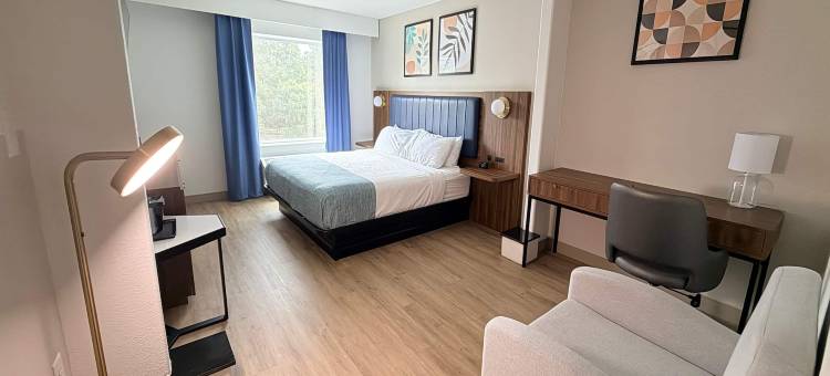 雅典市中心蔚景温德姆酒店(Wingate by Wyndham Athens Near Downtown)图片