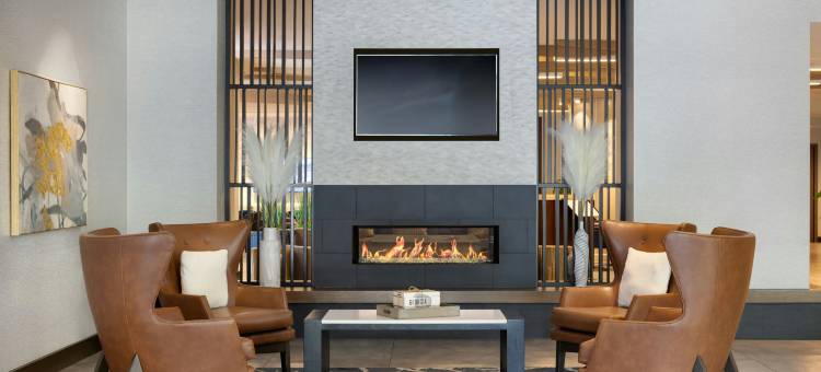 亚特兰大周界中心万豪酒店(Atlanta Marriott Perimeter Center)图片