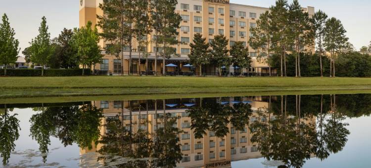 杰克逊维尔喜来登酒店(Sheraton Jacksonville Hotel)图片