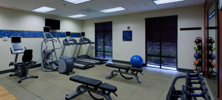 罗彻斯特-韦伯斯特欢朋酒店(Hampton Inn Rochester-Webster)图片