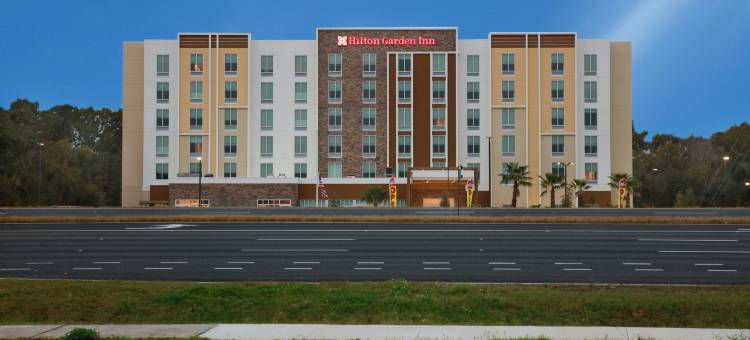 佛罗里达坦帕 - 韦斯利查普尔希尔顿花园酒店(Hilton Garden Inn Tampa - Wesley Chapel)图片