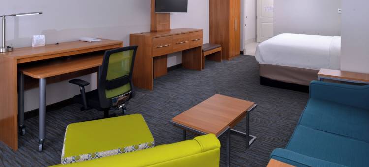 列克星敦-汉堡区洲际旗下智选假日套房酒店(Holiday Inn Express & Suites LEXINGTON - HAMBURG AREA by IHG)图片