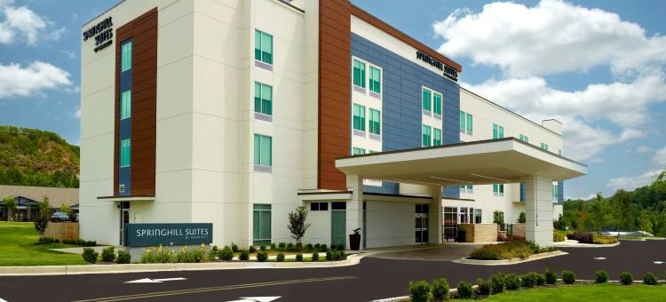 艾利嘉SpringHill Suites酒店(SpringHill Suites Ellijay)图片